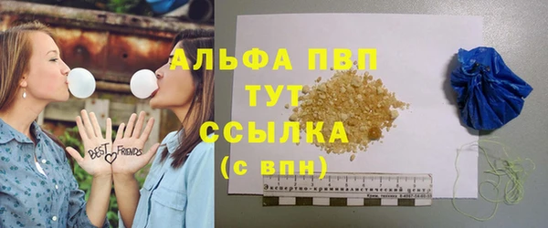 молекула духа Бородино