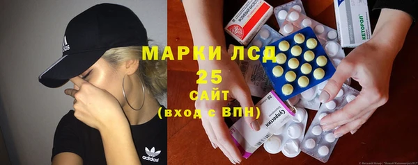 молекула духа Бородино