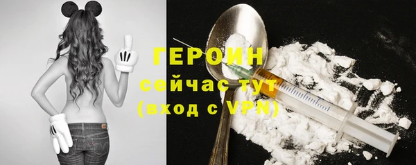 молекула духа Бородино