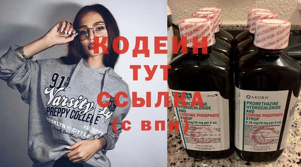 молекула духа Бородино