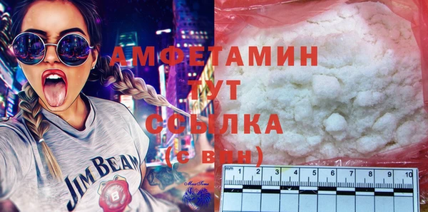 молекула духа Бородино