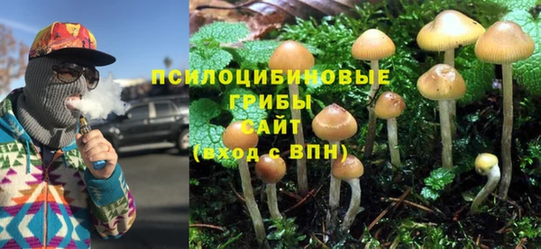 ешки Бронницы