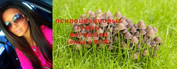 молекула духа Бородино